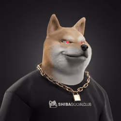 Shiba #638