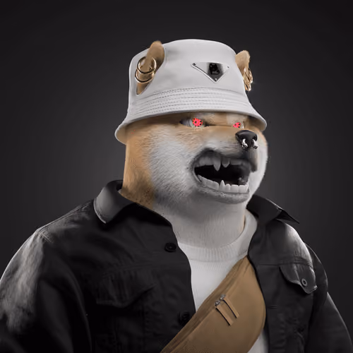 Shiba #962