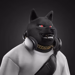 Shiba #516