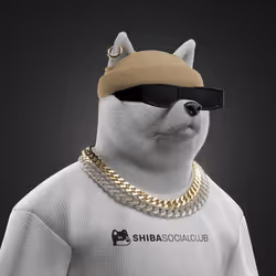 Shiba #7657