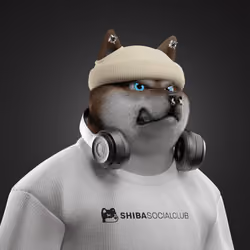 Shiba #4928