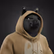 4202