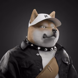 Shiba #3373