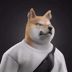Shiba #1526