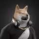 Shiba #3724