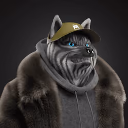 Shiba #2408