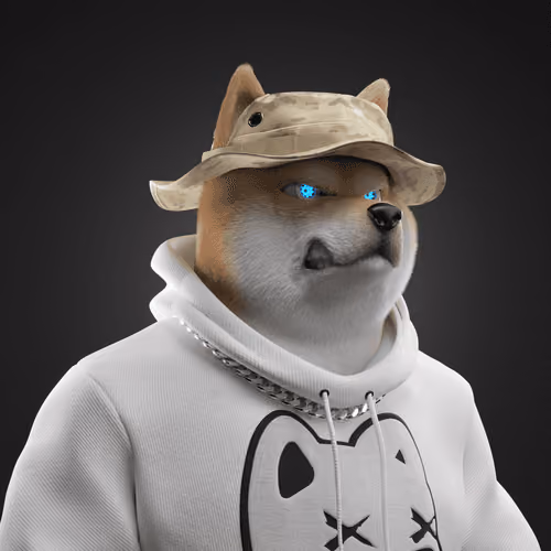 Shiba #2336