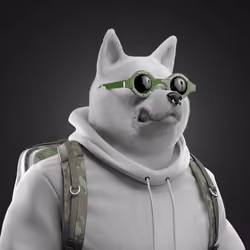 Shiba #4288