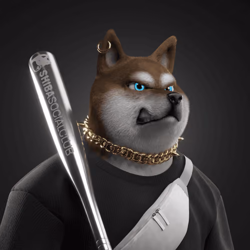 Shiba #908