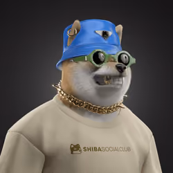 Shiba #6282