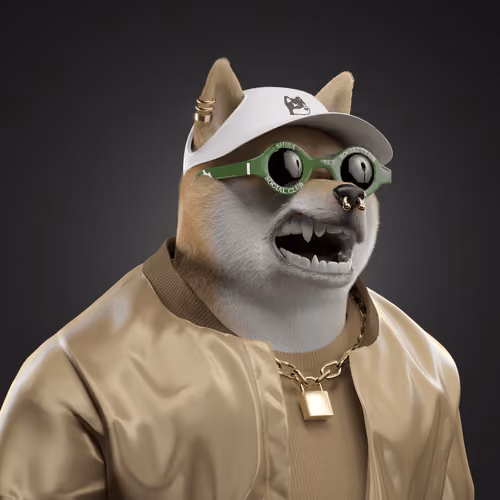 Shiba #3394