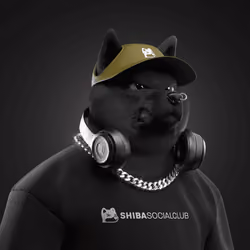 Shiba #1730