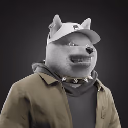 Shiba #3898