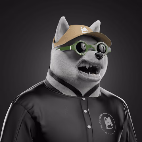 Shiba #5337