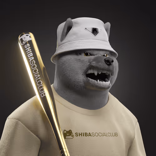 Shiba #11