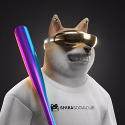 Shiba #924