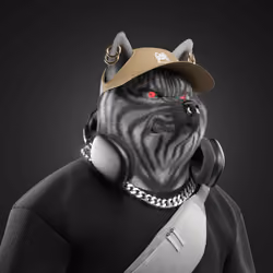 Shiba #3378
