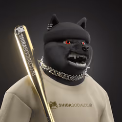 Shiba #2901