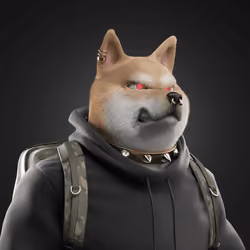 Shiba #1190