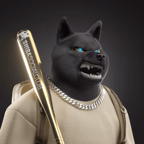 Shiba #4623