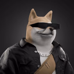 Shiba #5151