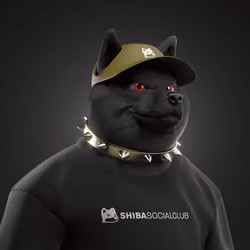 Shiba #3120