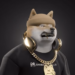 Shiba #6775