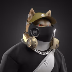 Shiba #6964