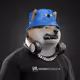 7031