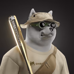 Shiba #3529