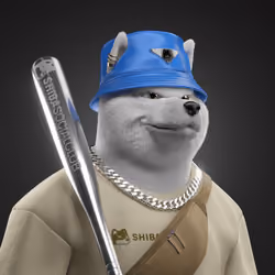 Shiba #5859