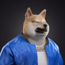 Shiba #643