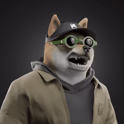 Shiba #3625