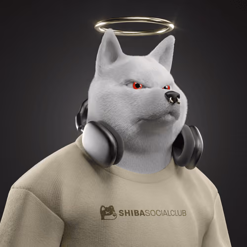 Shiba #3924
