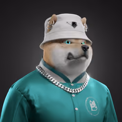 Shiba #4301