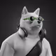 6206