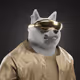 4907