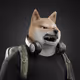 5039