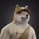 Shiba #7707
