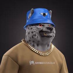 Shiba #2327