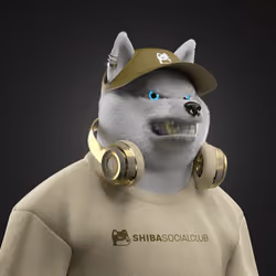 Shiba #913