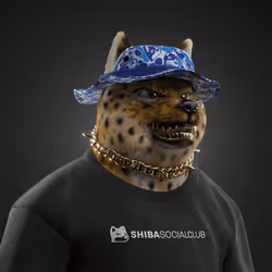 Shiba #5820