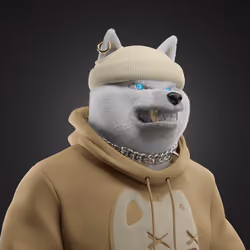 Shiba #5685