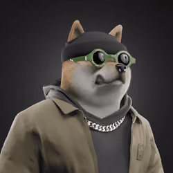 Shiba #6545
