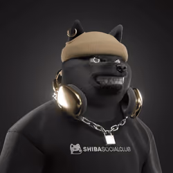 Shiba #6518