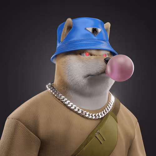 Shiba #5379