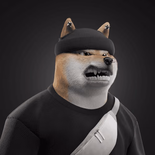 Shiba #1163