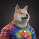 7194