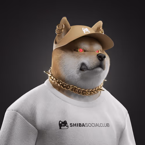 Shiba #523