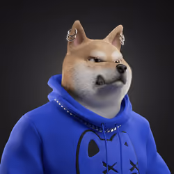 Shiba #2391